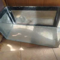 اکواریوم ماهی