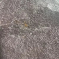 سنگ زرشکی|جواهرات|گل تپه, |دیوار