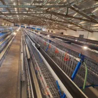 فروش قفس مرغ  در حد نو|لوازم جانبی حیوانات|قزوین, |دیوار