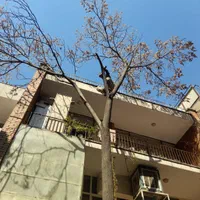 باغبانی وسمپاشی کل تهران و حومه با ضمانت و فاکتور|خدمات باغبانی و درختکاری|تهران, تجریش|دیوار