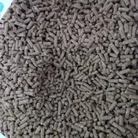 کنسانتره دام