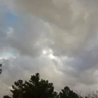 پارتنر طبیعت گردی