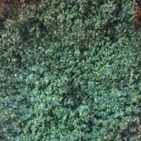 خدمات خرد کردن سبزی با دستگاه سبزی خرد کن|خدمات پذیرایی، مراسم|اسدآباد, |دیوار