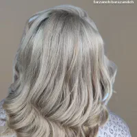 فرصت یادگیری و همکاری حرفه‌ای (دستیار رنگ و لایت)