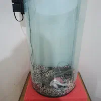 آکواریوم منحنی نیم دایره بزرگ