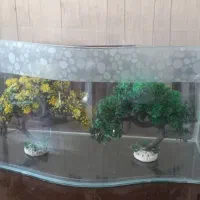 اکواریوم به همراه بخاری