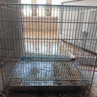 قفس سهره. قناری . سهره قناری