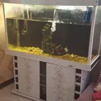 اکواریوم با لوازم و معاوضه با پرنده