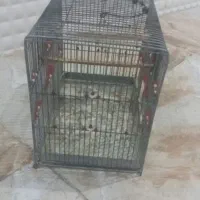 فروش قفس پرنده|لوازم جانبی حیوانات|مهر, |دیوار