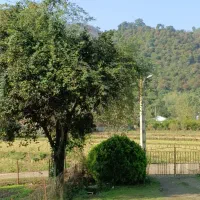 اجاره ویلا روزانه در ماسال|اجارهٔ کوتاه‌مدت ویلا و باغ|شاندرمن, |دیوار