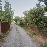 فروش ۳۰۰۰ متر زمین مسکونی قطعه بندی شده در منگوده|فروش زمین و ملک کلنگی|رشت, پیله داربن|دیوار