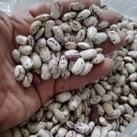 لوبیا چیتی خوش پخت