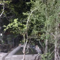 باغبانی کارهای بنای آبیاری سبزیکاری