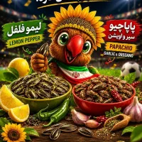 بازاریاب ، ویزیتور آجیل و خشکبار