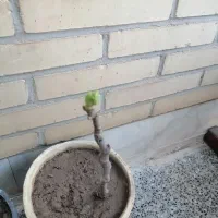 وقتشه|گردهمایی و همایش|یزد, |دیوار