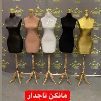 نیم تنه مانکن زنانه مردانه رگال