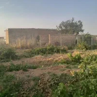 باغ ۱۰۰۰ متری در تاکستان|فروش دفتر صنعتی، کشاورزی، تجاری|تهران, منیریه|دیوار