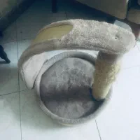 اسکرچر گربه