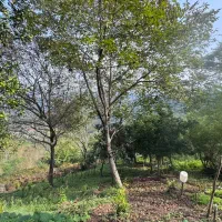 مسکونی زیر قیمت|فروش زمین و ملک کلنگی|اطاقور, |دیوار