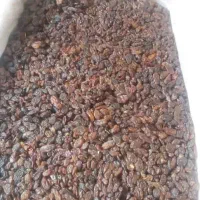 کشمش افتابی سایه خشک مویز شیره خرما انگور شانی|خوردنی و آشامیدنی|تهران, میدان میوه و ترهبار مرکزی|دیوار