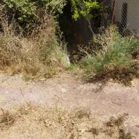 زمین و باغ ۲۱۱۵متری در طالقان،بر۳۰ متر خیابان اصلی