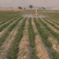 زمین-کشاورزی