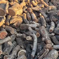خریدانواع چوب پسته  فروش کنده شومینی