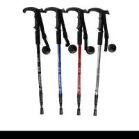 عصای کوهنوردی