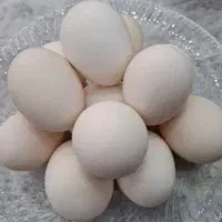 تخم مرغ رسمی