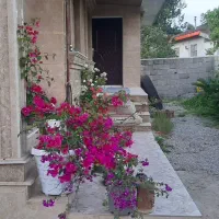 یک-دستگاه-ویلا