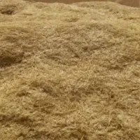 کاه جو دیم  تمیز