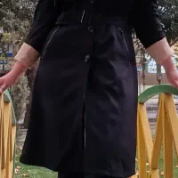 پالتو