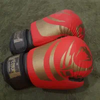 دستکش بوکس حرفه‌ای