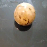 شهاب سنگ الماس