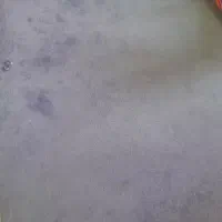 پالاز موکت