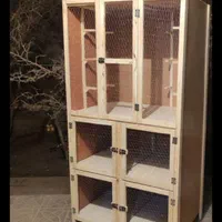 کبوتر روی میخ|پرنده|رفسنجان, |دیوار