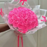 رزروبانی جاودان