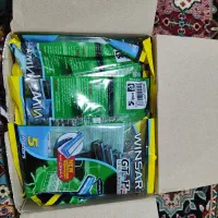 ژیلت وینسار