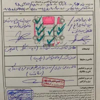 ۲۰۷پانا۱۴۰۲|خودرو سواری و وانت|ایلام, |دیوار