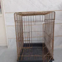 قفس A51