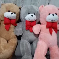 شاسخین کادوروز مادر روز زن