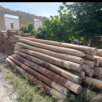 خرید انواع چوب سقفی چوب ساختمانی  چنار وضایعات