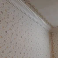 نقاشی ساختمان|خدمات پیشه و مهارت|مشهد, جاهد شهر|دیوار