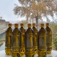 روغن زیتون
