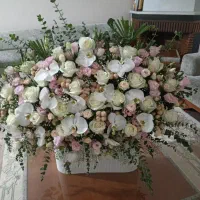 باکس گل
