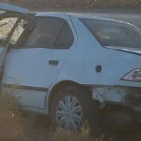 سمند تصادفی