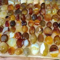 نگین انگشتر یاقوت شجر عقیق سلیمانی راف حبه