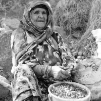 عکاسی و فیلمبرداری|خدمات پذیرایی، مراسم|قزوین, |دیوار