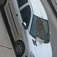 206،مدل94 تیپ5،تیوفایو،کارمندی