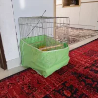 قفس نو سالم قیمت کم گذاشتم فروش بره